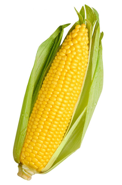 Corn