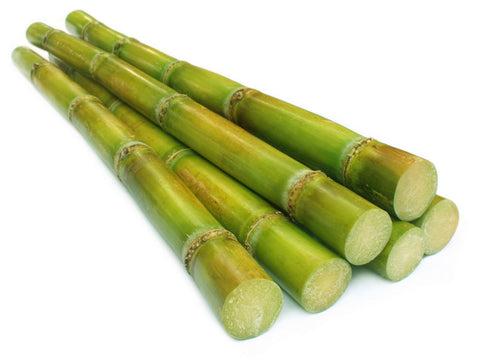 Sugar Cane